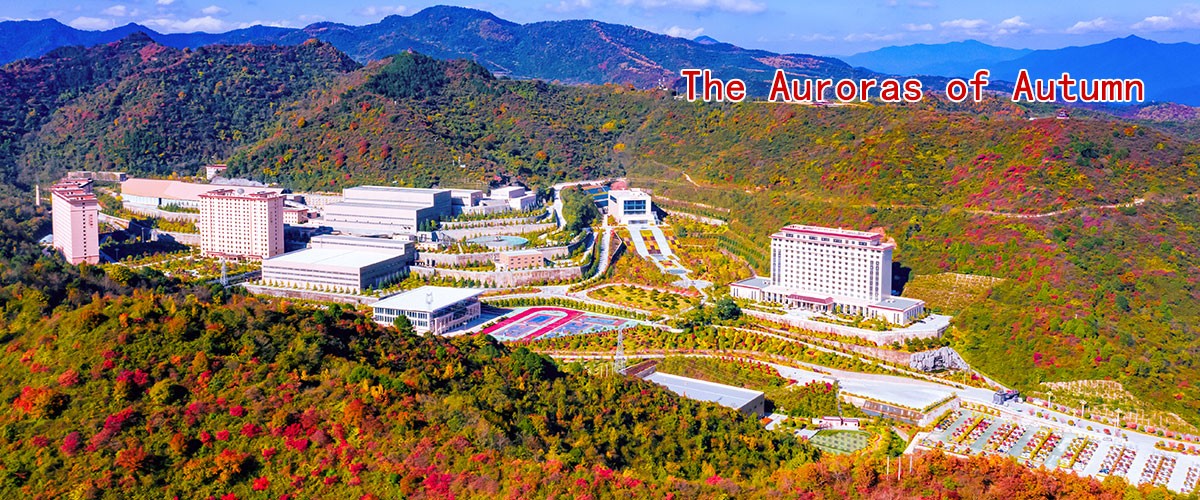 礦區瀏覽-秋風紅葉.jpg
